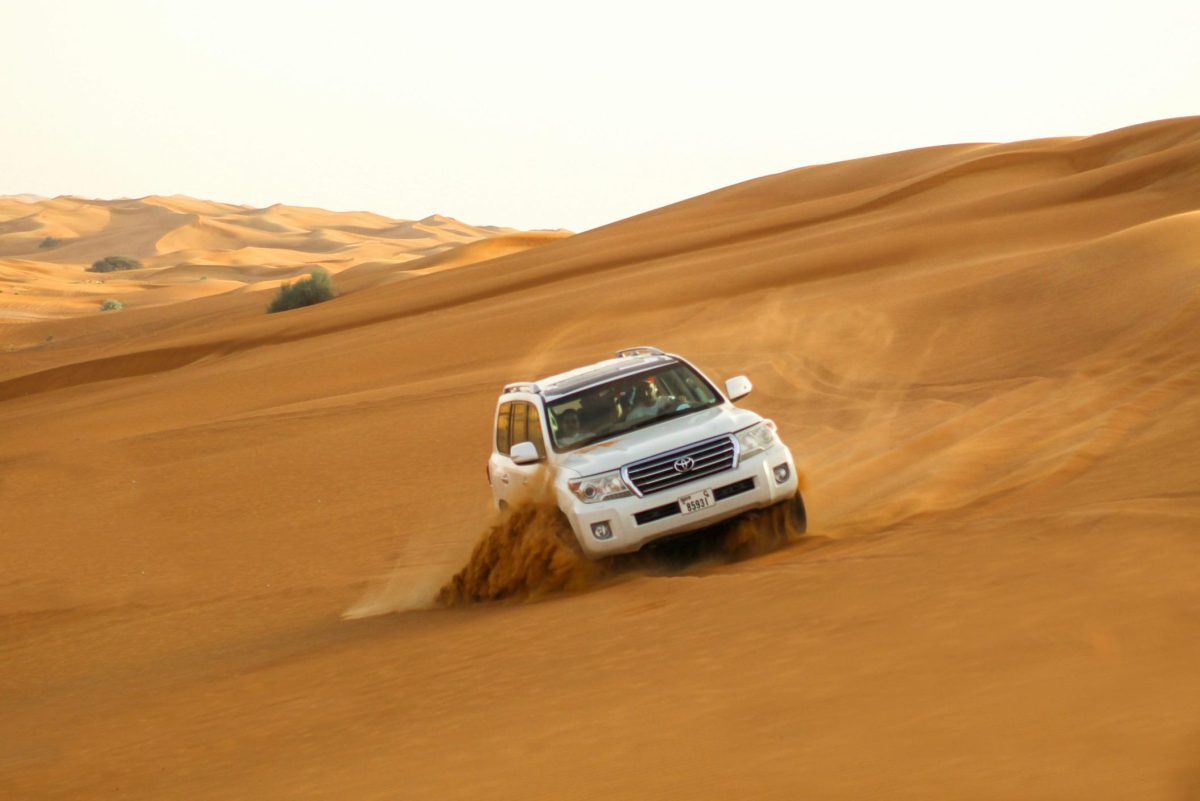 Sightseeing Tours – Al Rabi Global Visa Service